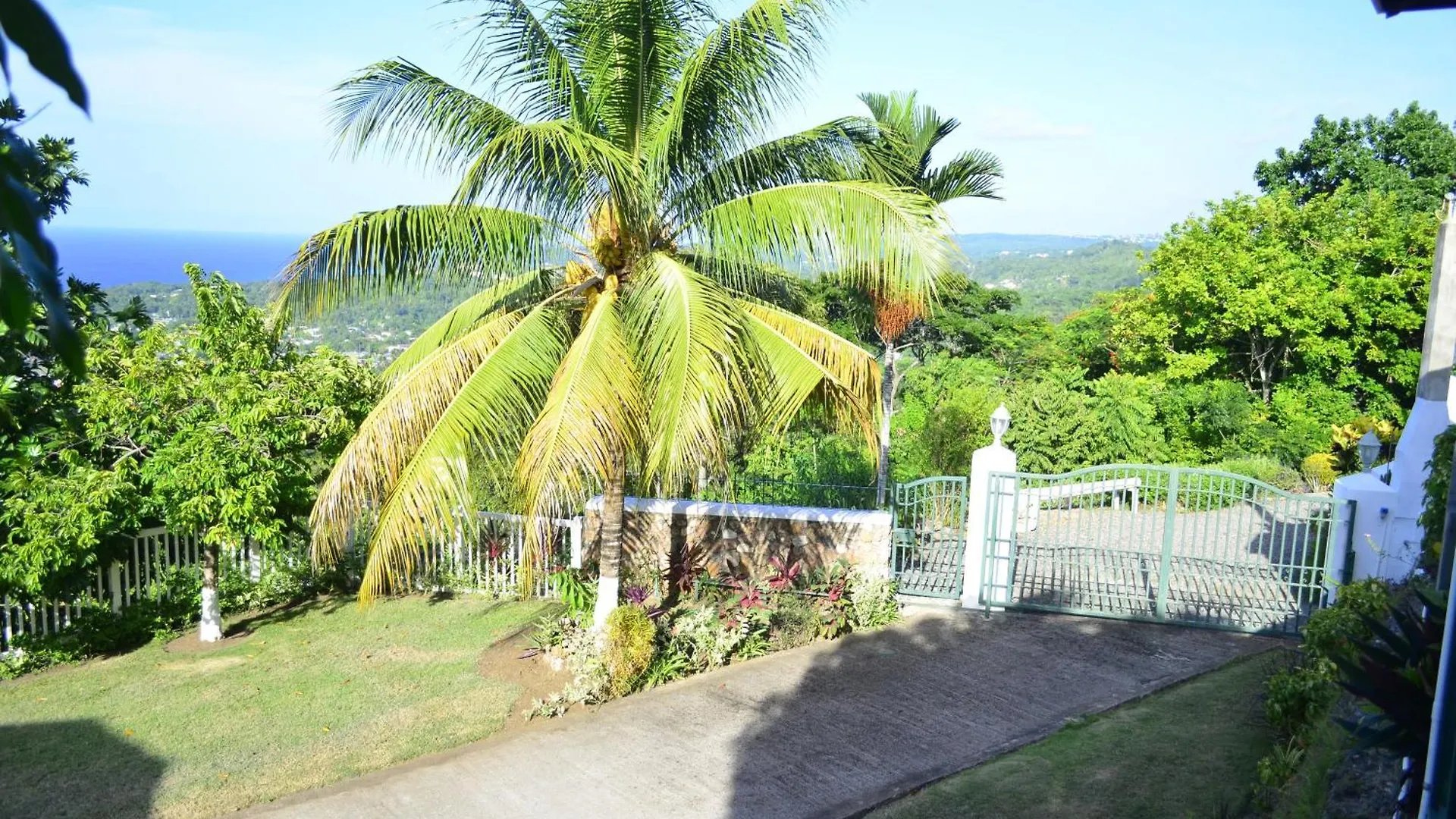 Pink Rock Inn Bed And Breakfast Ocho Rios 0*,  Jamaica
