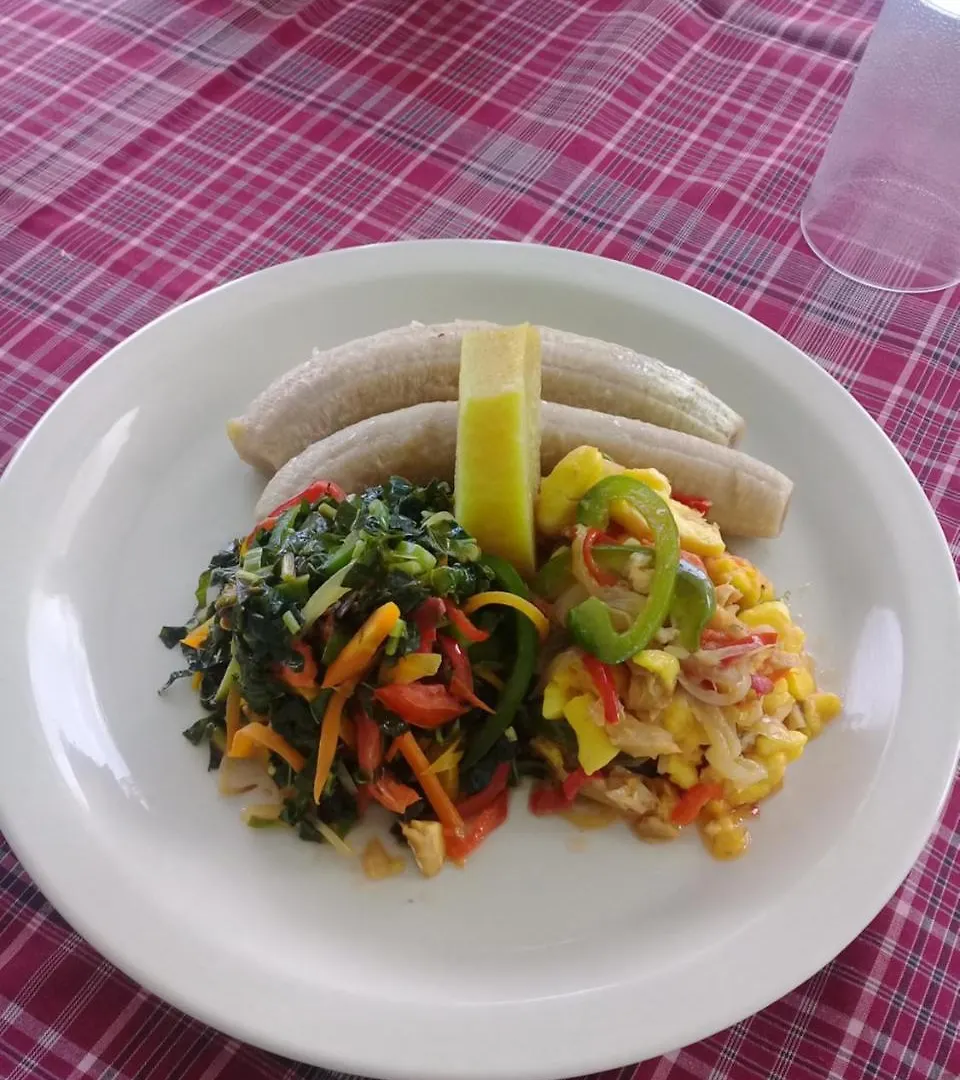 Pink Rock Inn Bed And Breakfast Ocho Rios 0*,